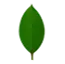 MongoDB